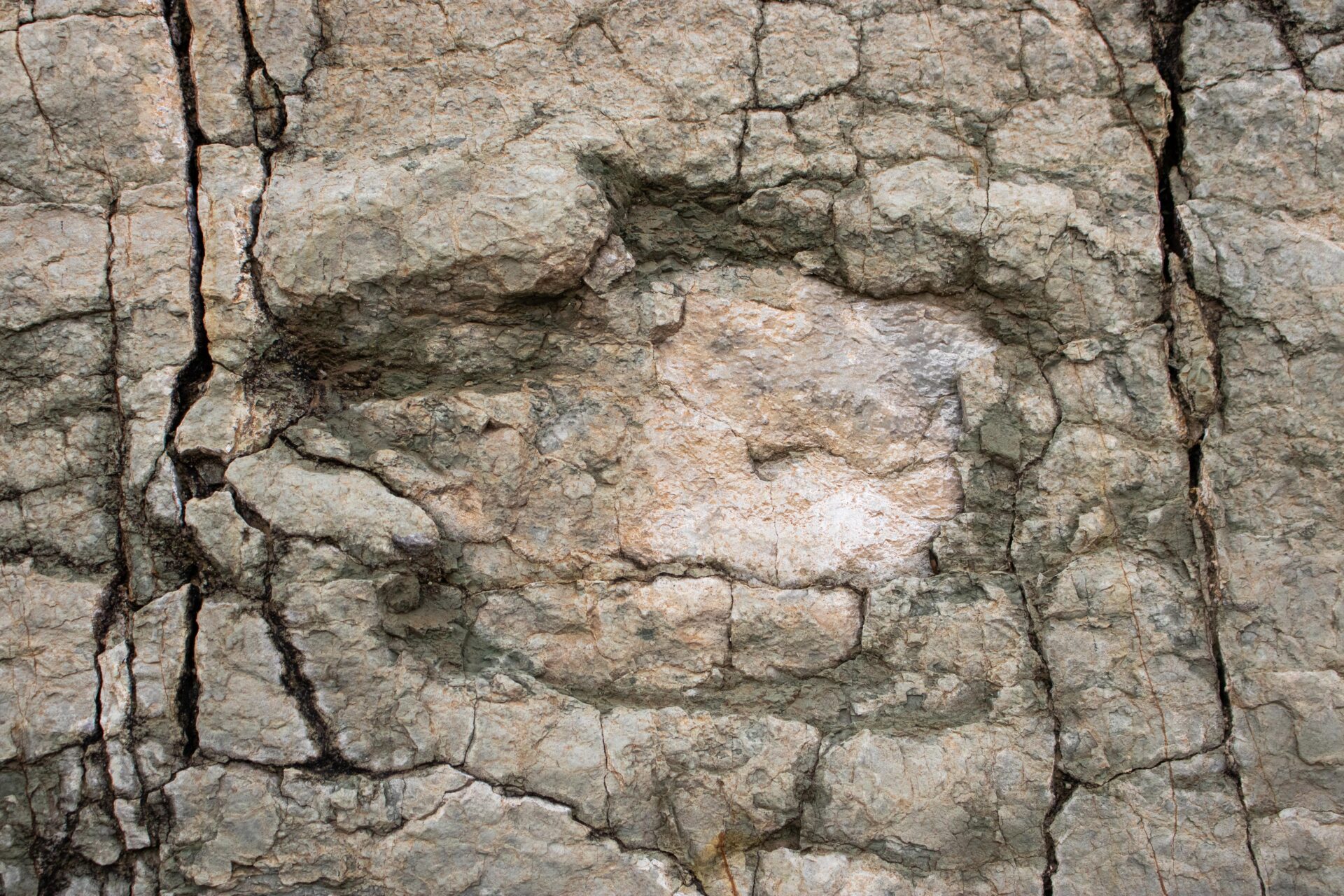 Walking with Dinosaurs in Bolivia